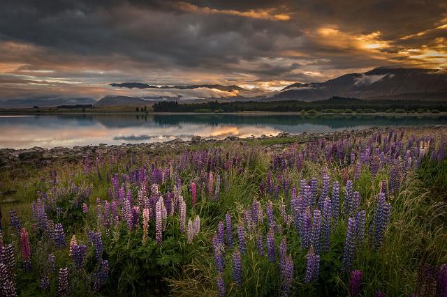 077 Lake Tekapo.jpg